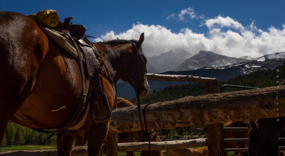 Photo Gallery | Wind River Ranch