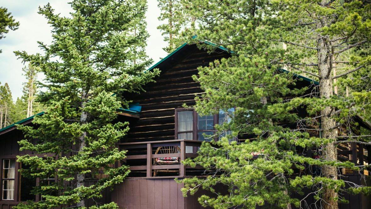 Exterior view of the Wildflower cabin porch