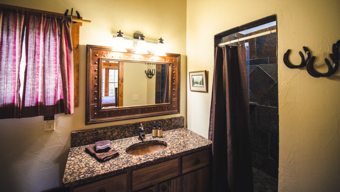 Wildflower cabin master bathroom with sink and shower.