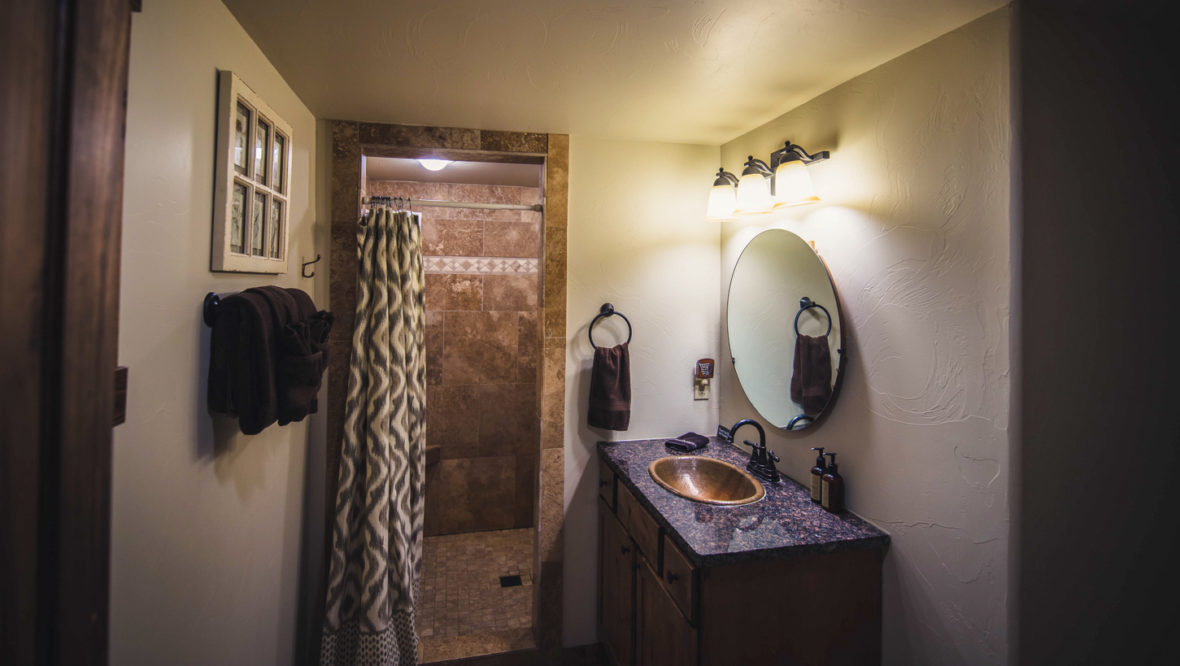 Aspen leaf cabin master bathroom with shower and sink.